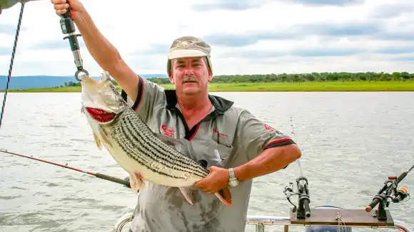 Tiger Fishing - Hluhluwe