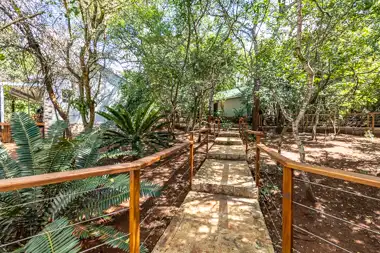 Hilltop Forest Lodge & Chalets - Hluhluwe