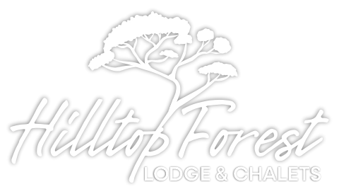 Hilltop Forest Lodge & Chalets - Hluhluwe